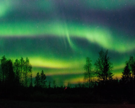 Northern Lights: all you need to know!